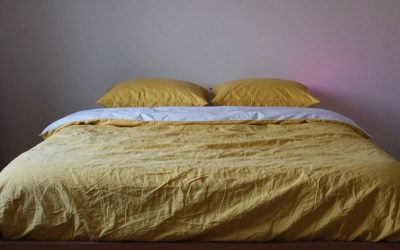 Best Bed Frames by Type: Steel, Wood and Storage (2026)