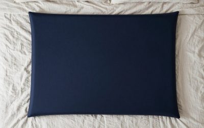 10 Best Zinus Bed Frames (October 2026)